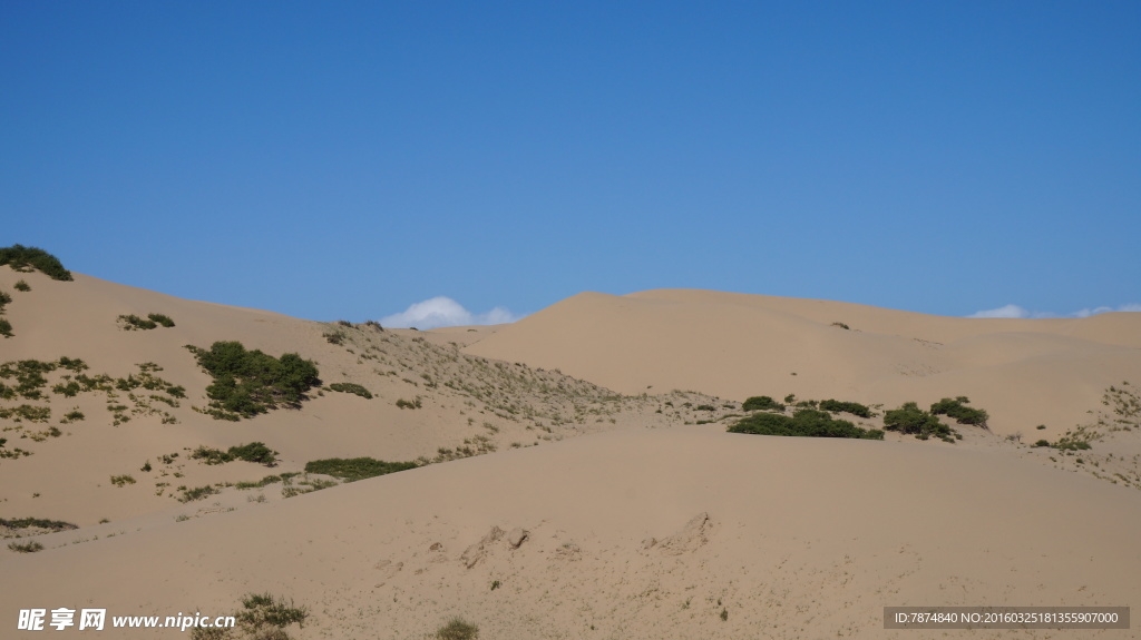 青海湖边沙漠