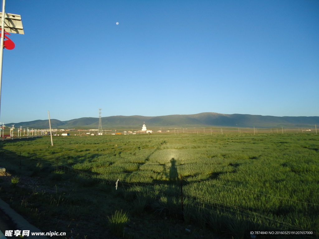 青海草原风光
