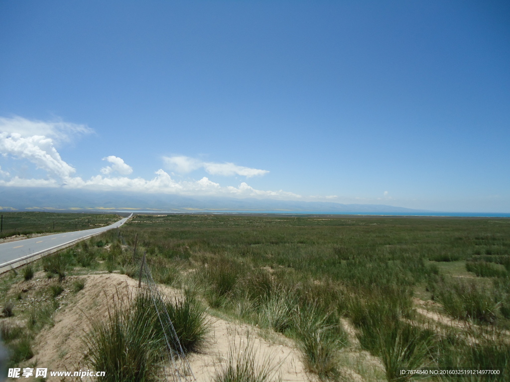 青海草原风光