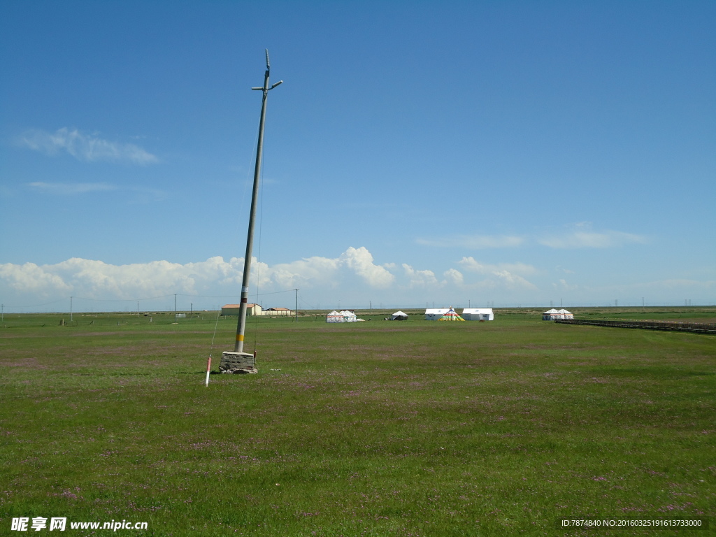 青海草原风光