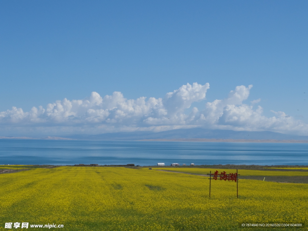 青海湖