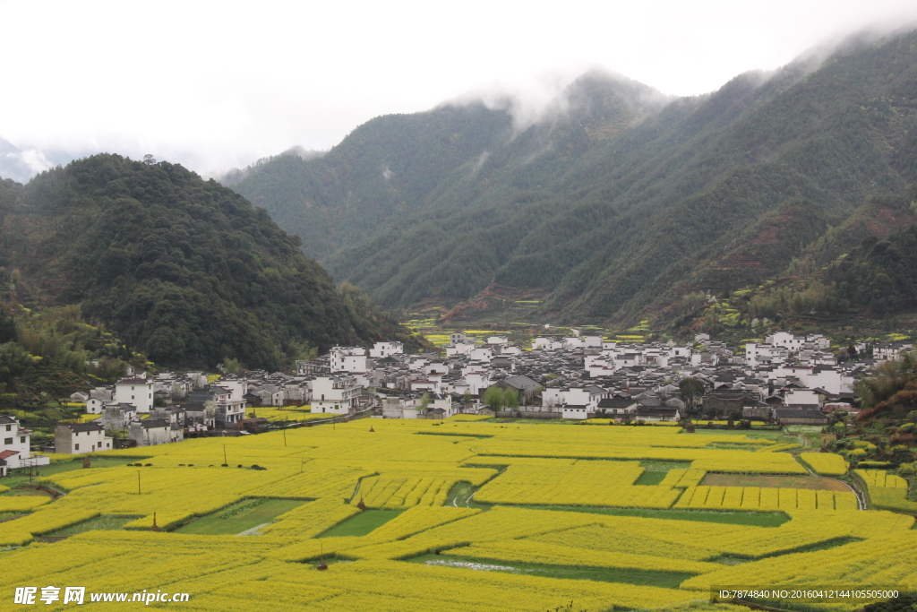 婺源风光