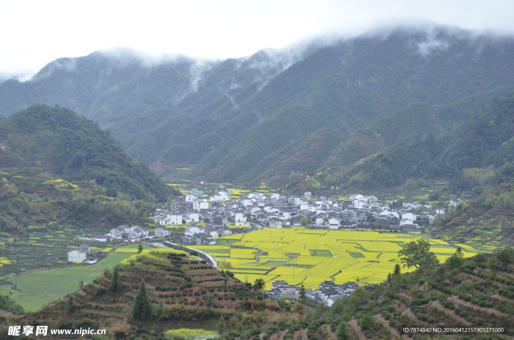 婺源风光
