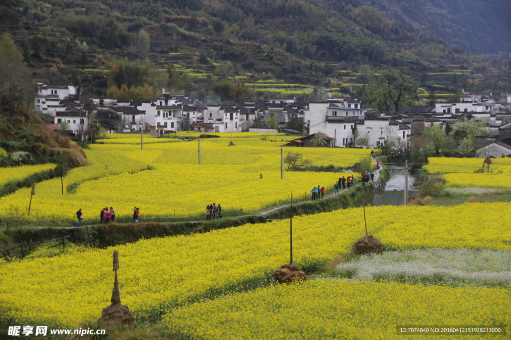 婺源风光