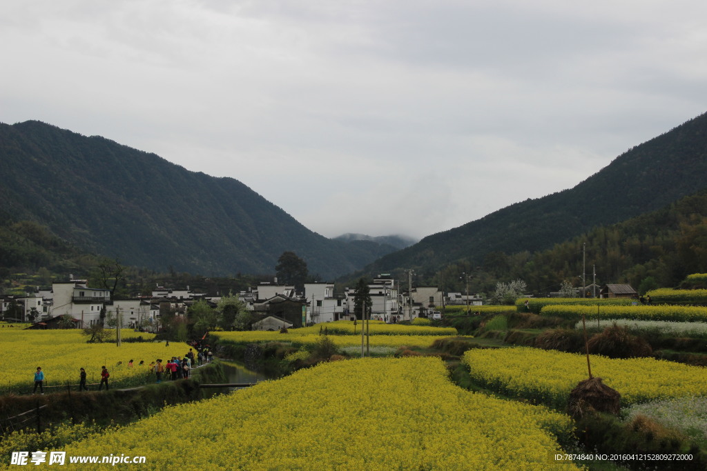 婺源风光