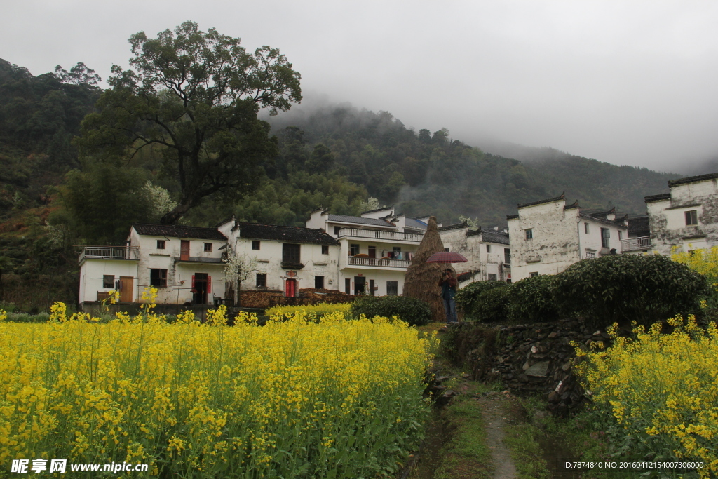 婺源风光
