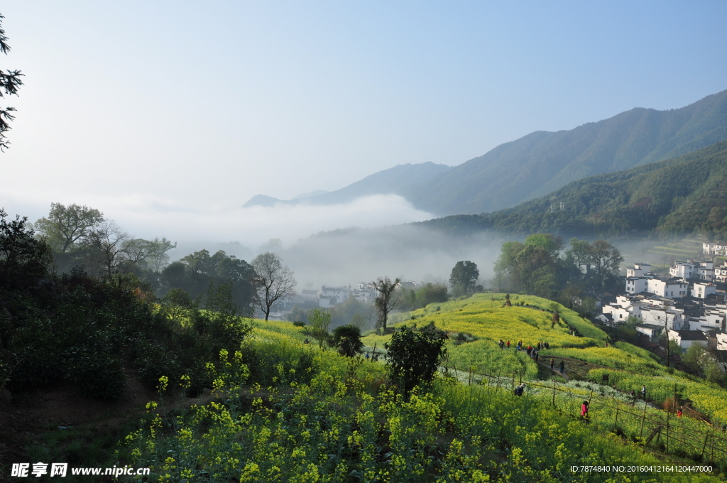 婺源风光