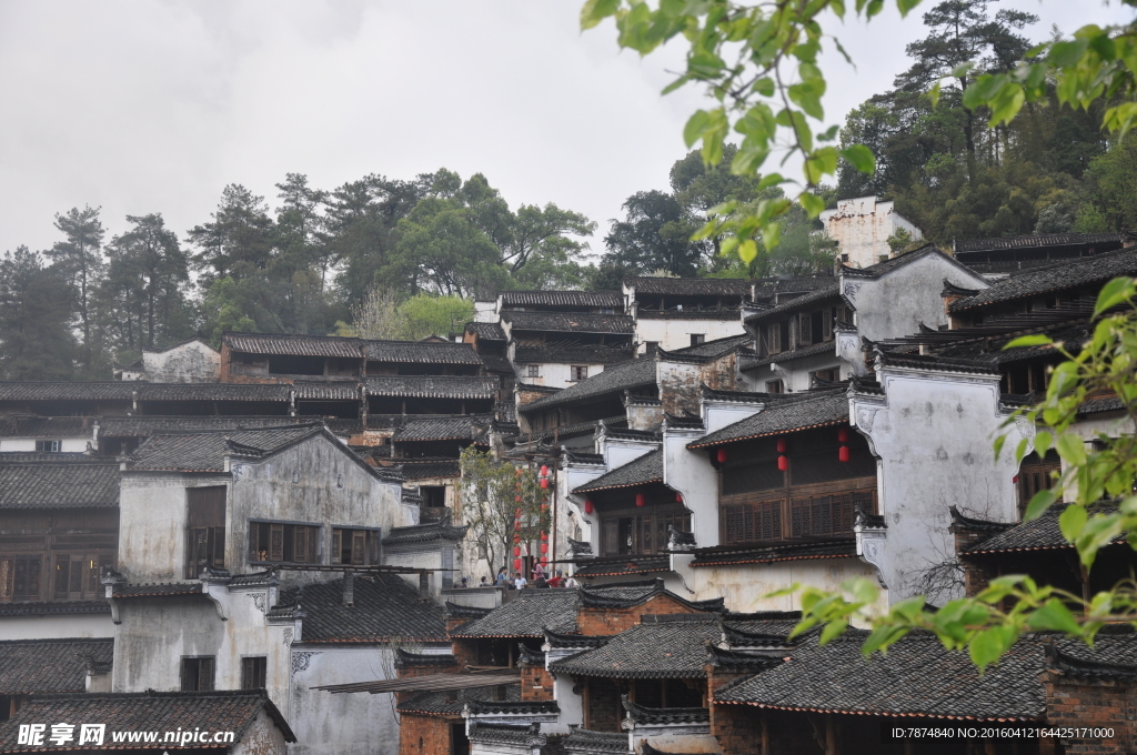 婺源风光