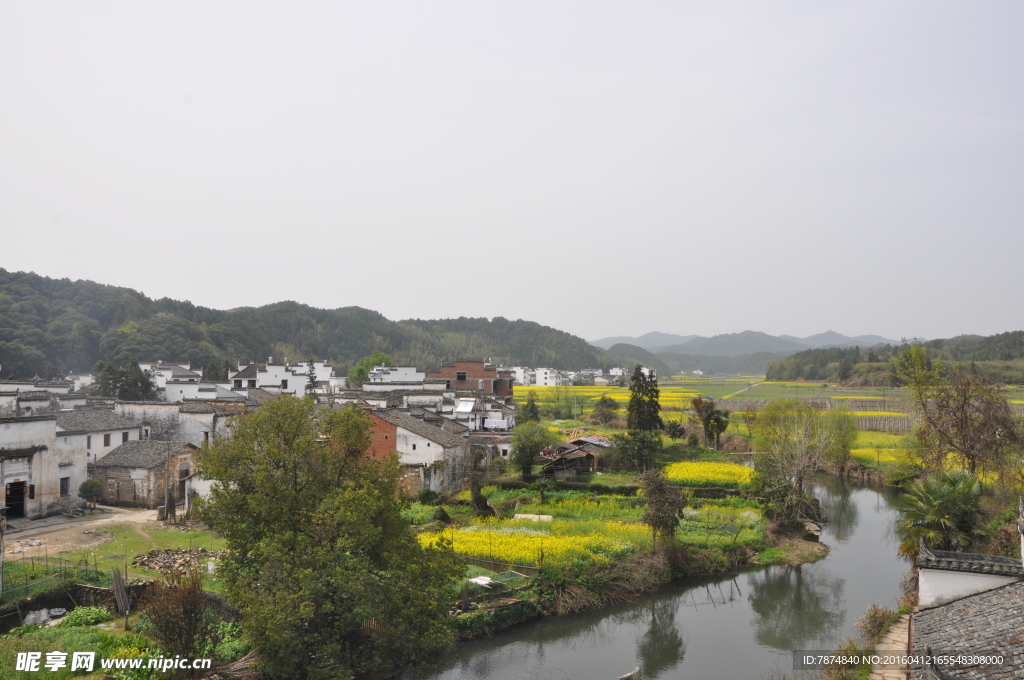 婺源风光