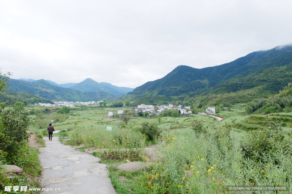 婺源风光
