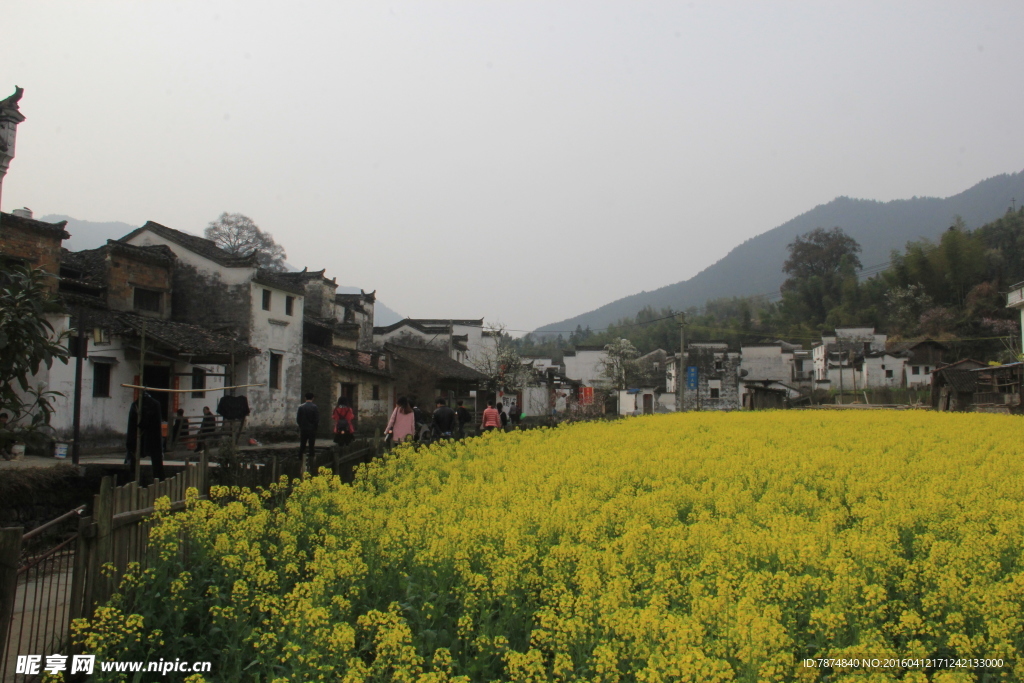婺源风光