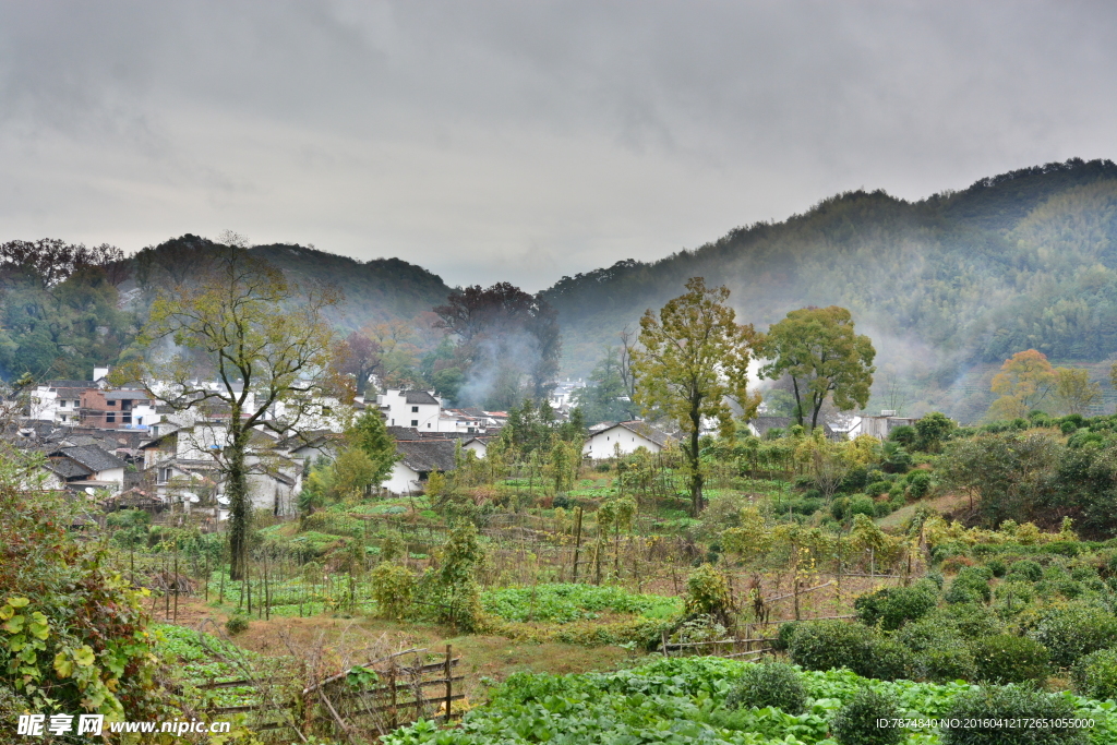 婺源风光