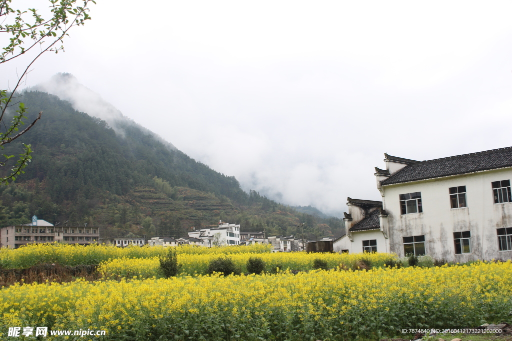 婺源风光
