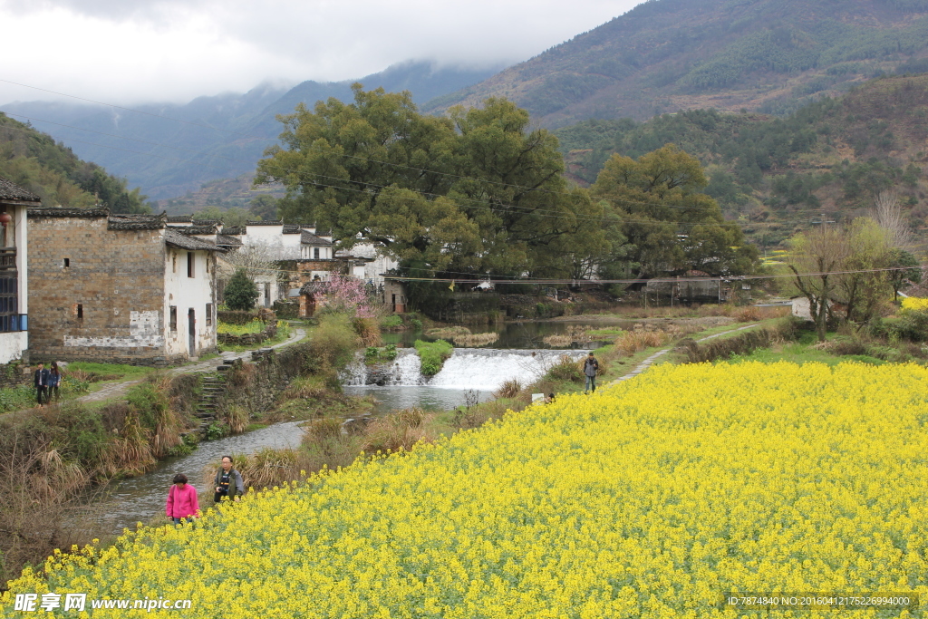 婺源风光