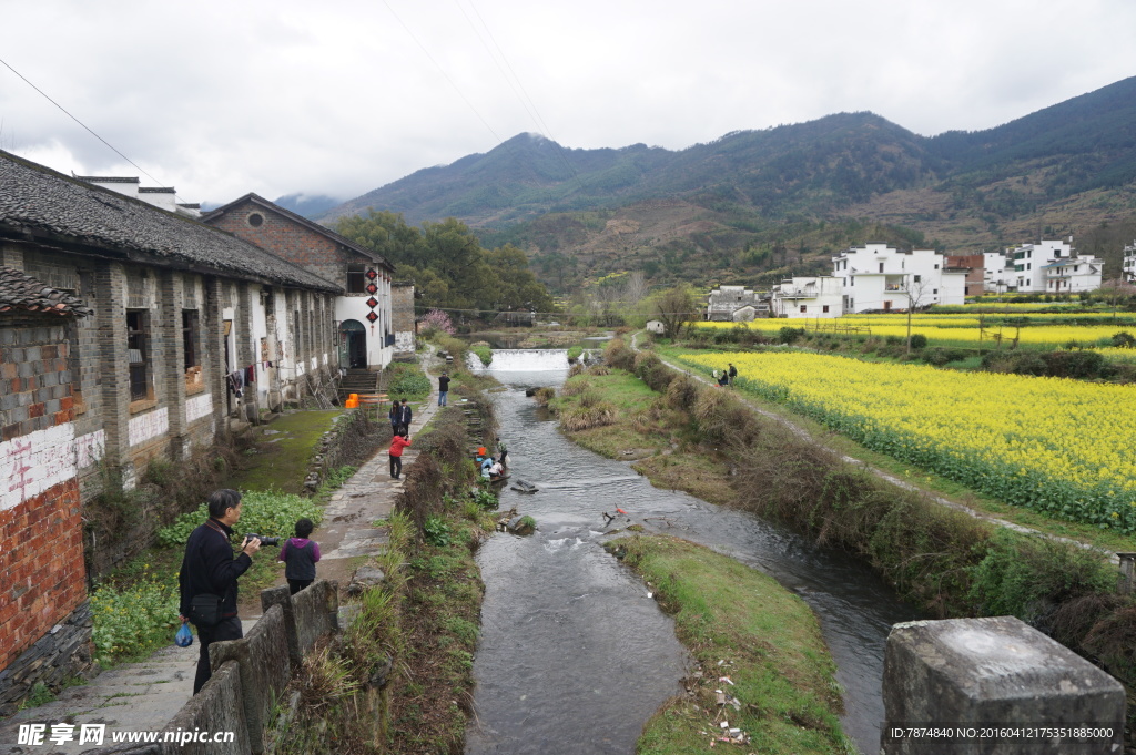 婺源风光