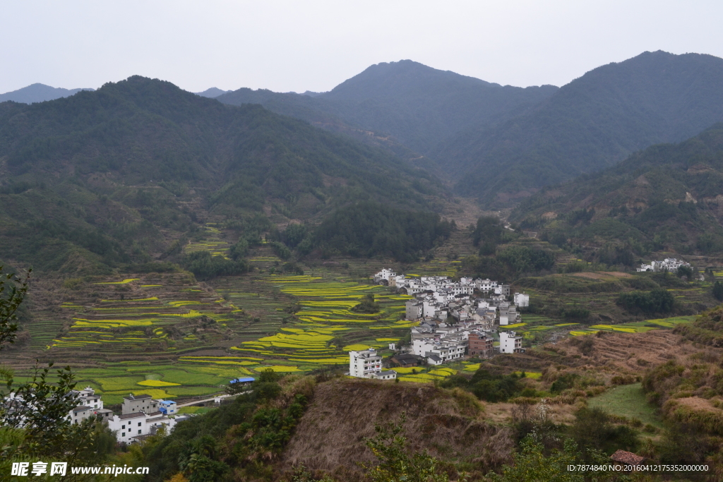婺源风光