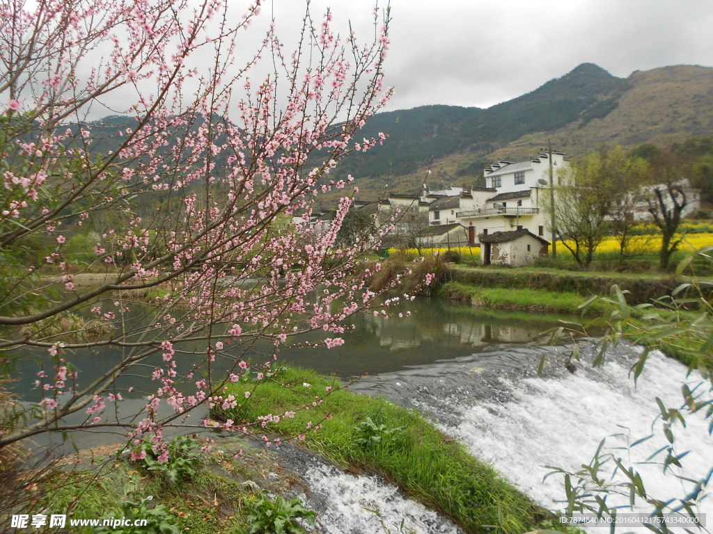 婺源风光