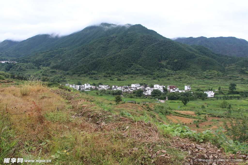 婺源风光