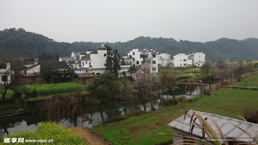 婺源风光