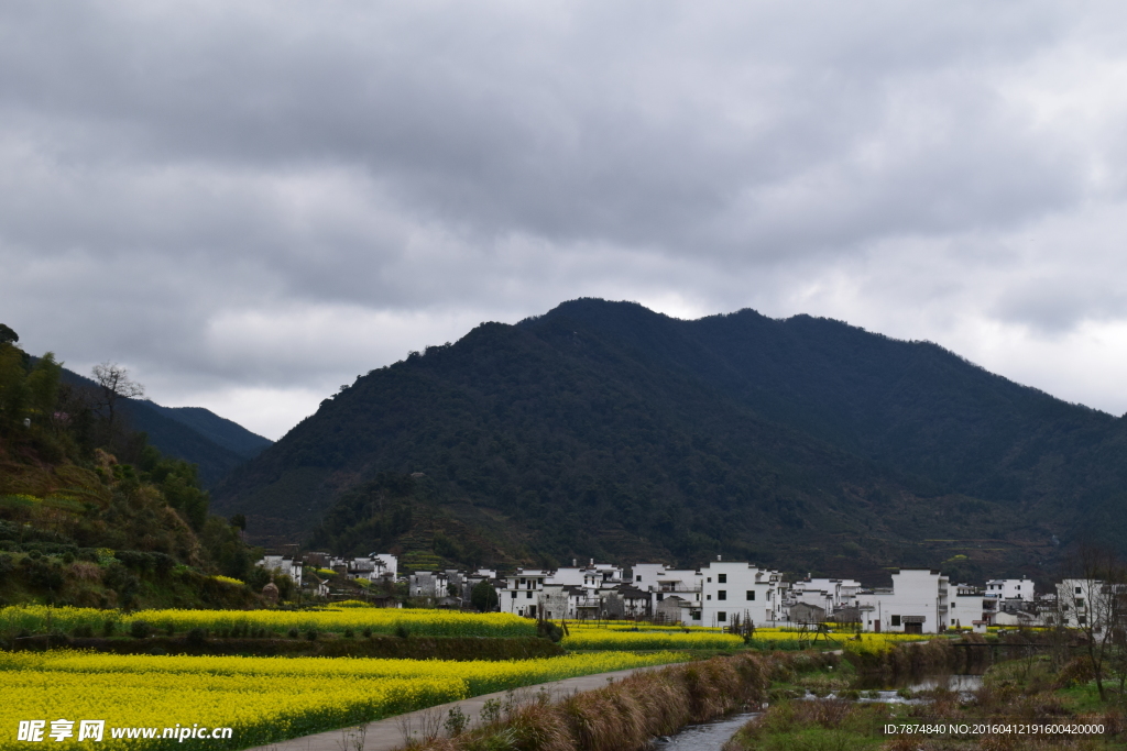 婺源风光