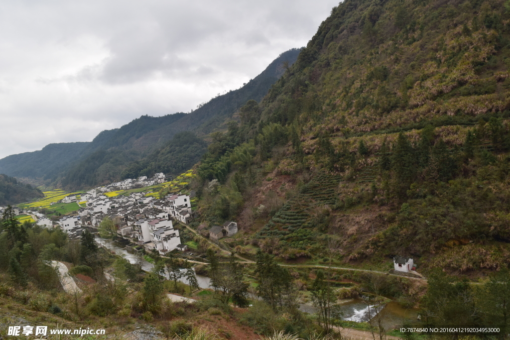 婺源风光