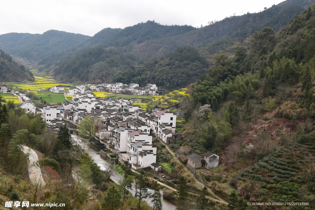 婺源风光
