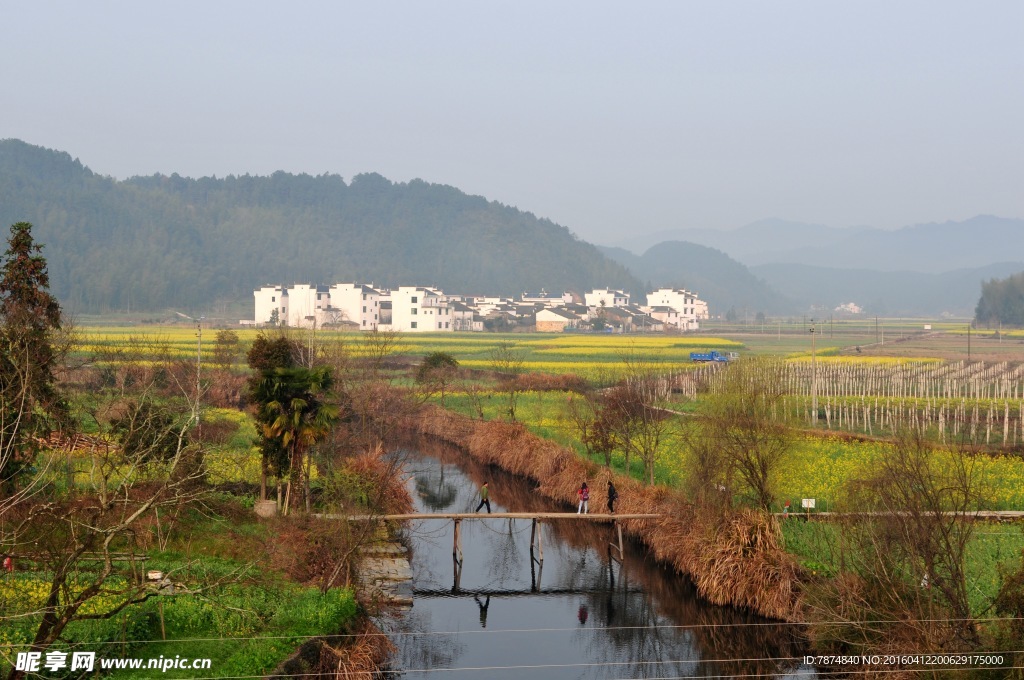 婺源风光