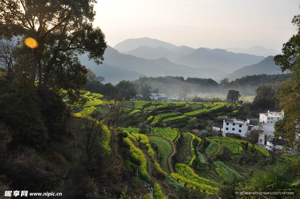 婺源风光