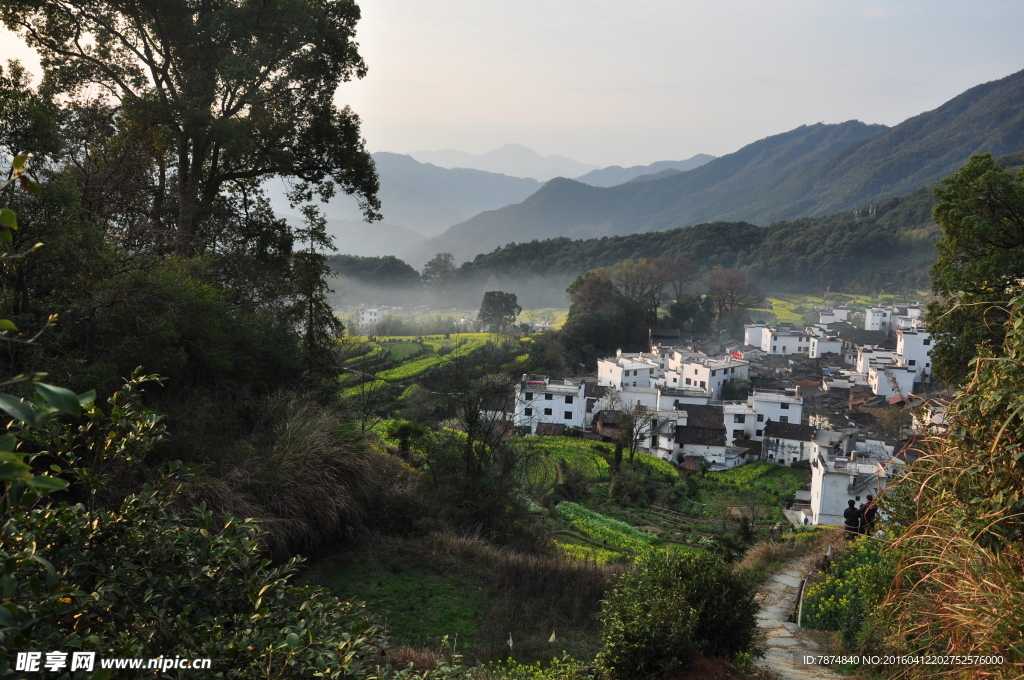 婺源风光