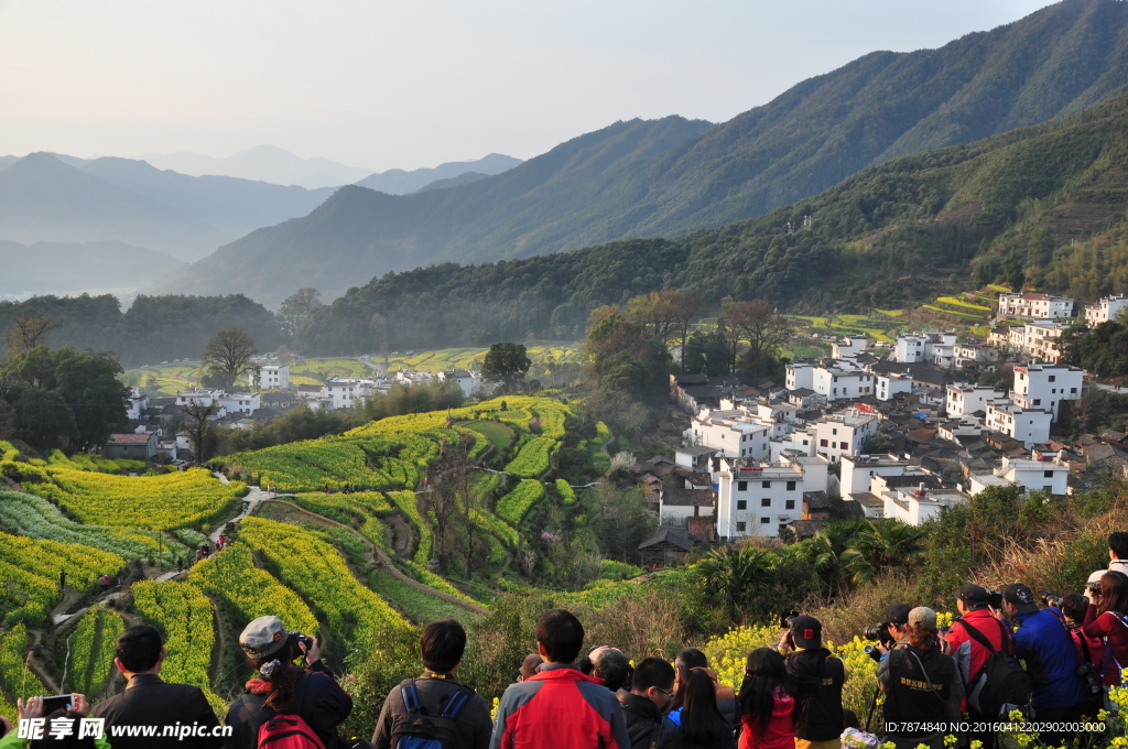 婺源风光