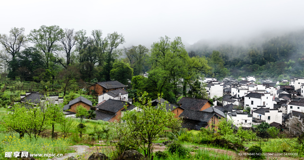 婺源风光