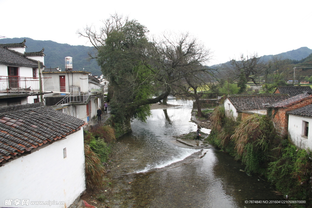 婺源风光