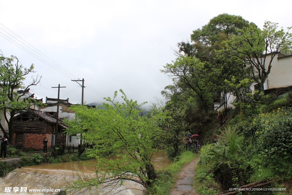 婺源风光