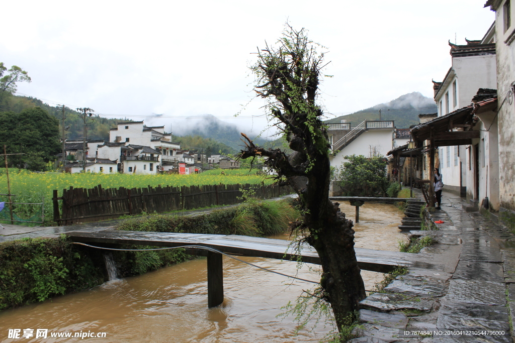 婺源风光