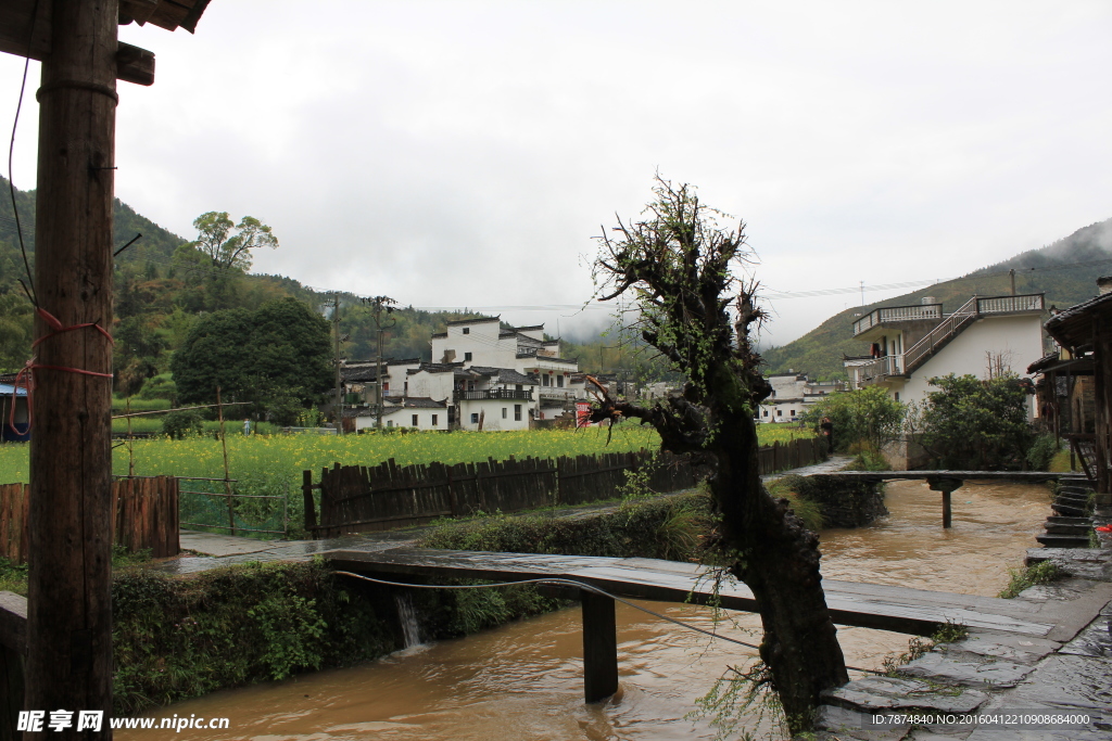 婺源风光