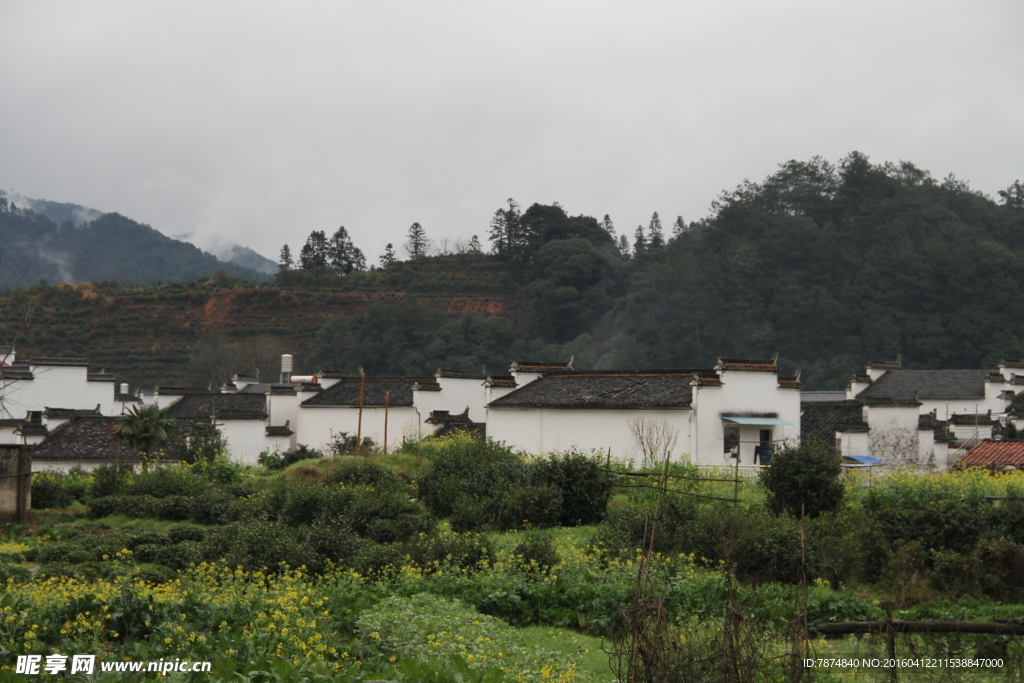 婺源风光