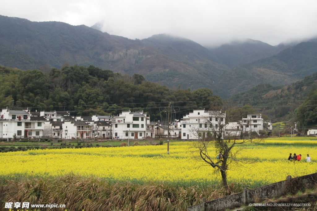 婺源风光