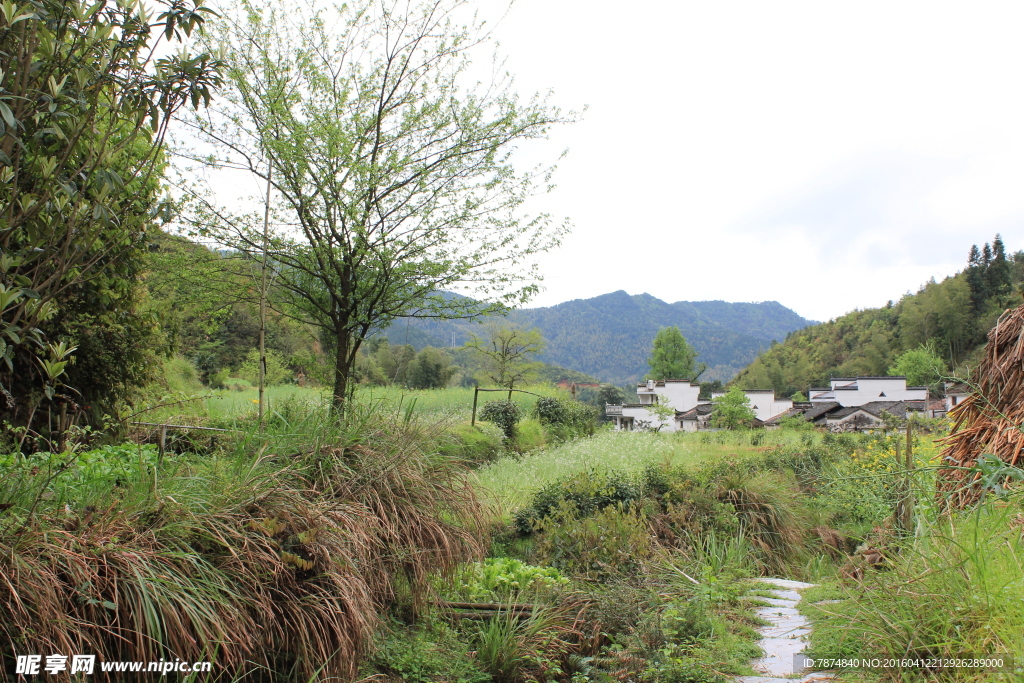 婺源风光