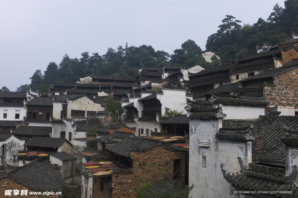 婺源风光