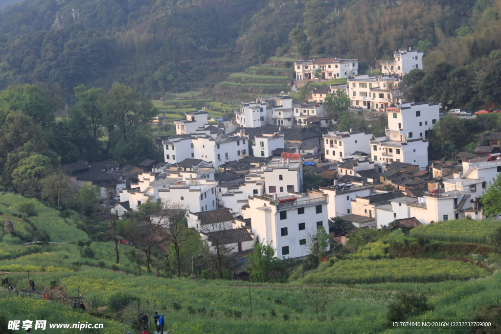 婺源风光