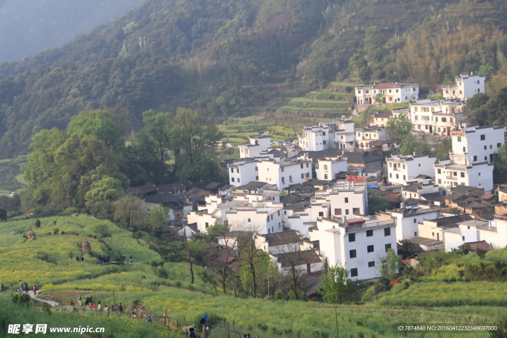 婺源风光