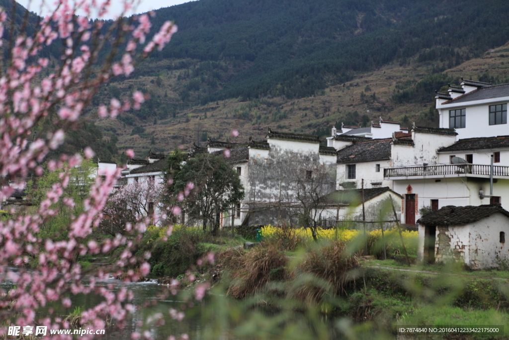 婺源风光