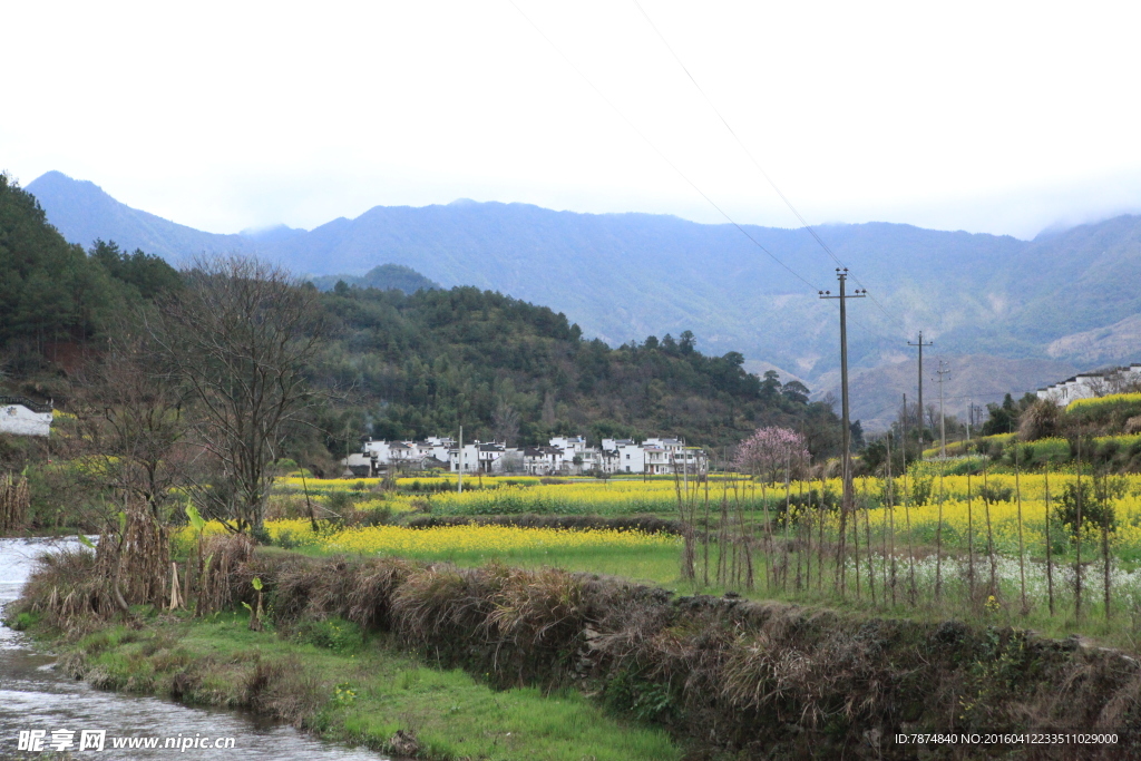 婺源风光