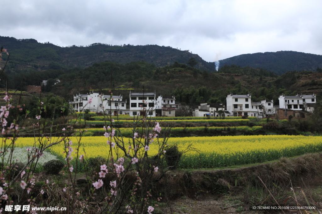 婺源风光