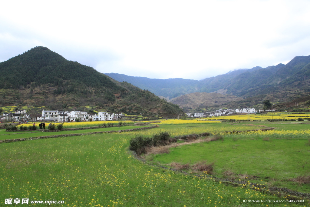 婺源风光