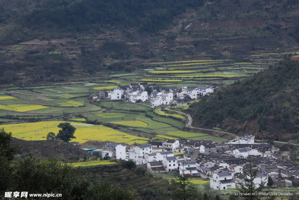 婺源风光