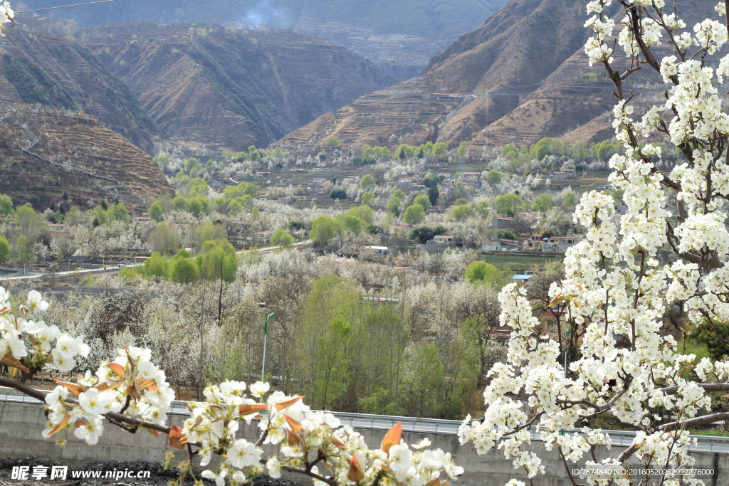梨花山谷