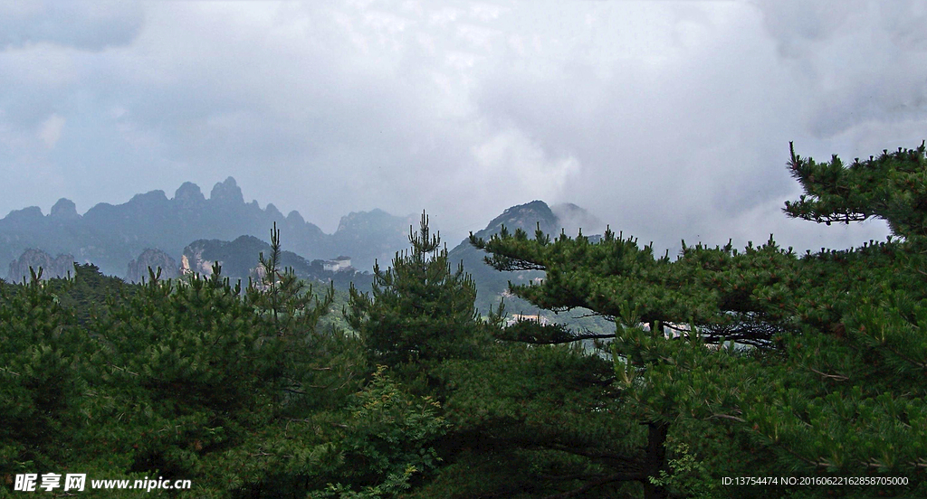 黄山云雾