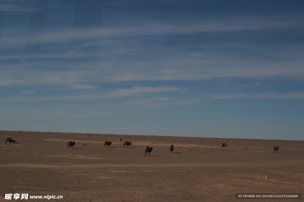 戈壁滩风光