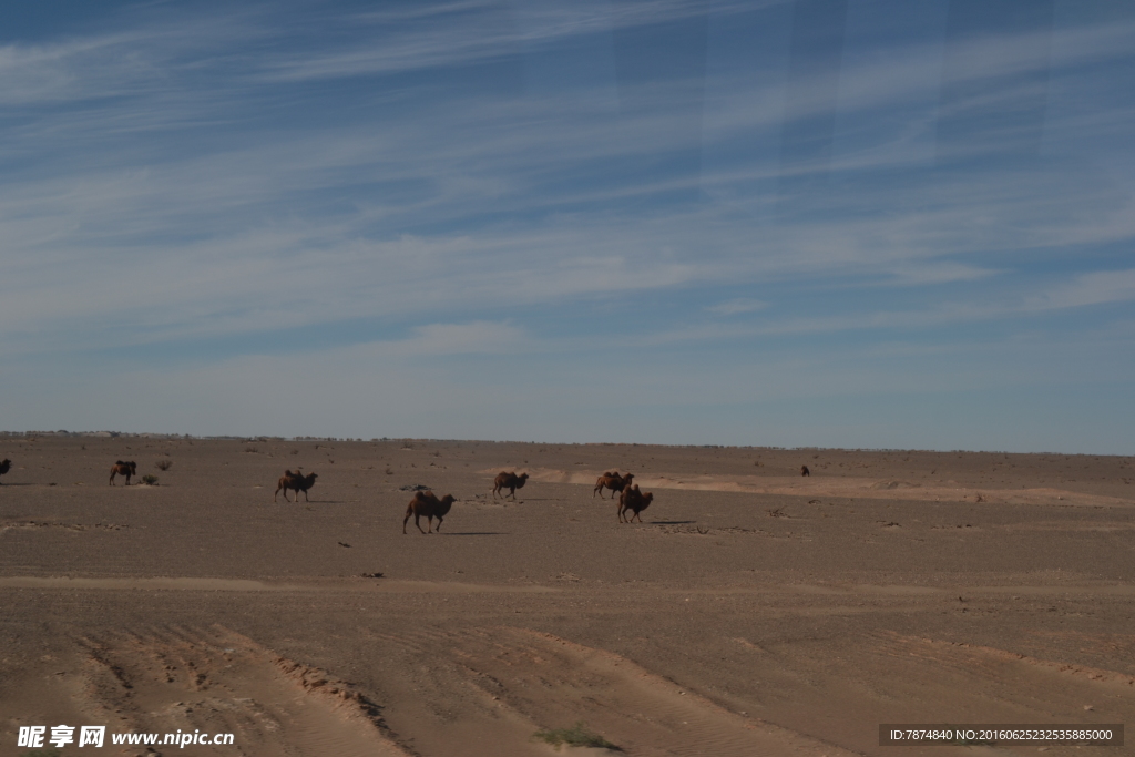 戈壁滩风光